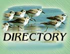 DIRECTORY