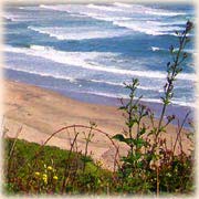 Coastal Maine - A National Treasure!