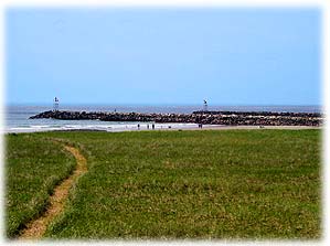 Jetty View From Drakes Island