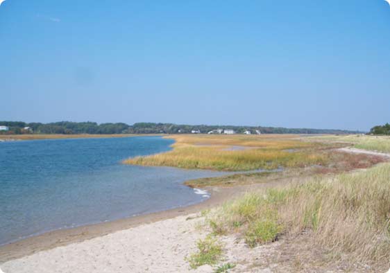 Joining SOS Maine