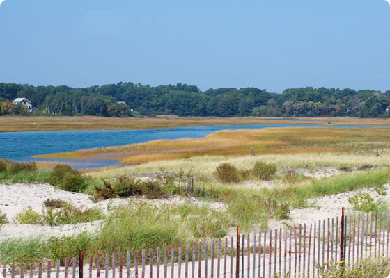 Maine Coastal Coalition