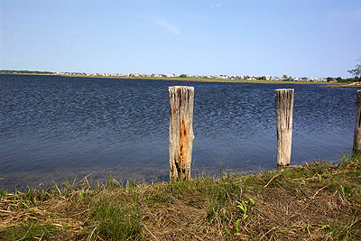 Marsh Area At High Tide